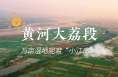 黄河大荔段：万亩湿地宛若“小江南”