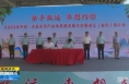 《直通县市》牵手亚运 枣想约你 大荔冬枣进军华东市场