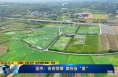 《直通县市》富平：青青荷塘 美在当“夏”