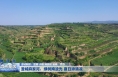 澄城麻家河：绿树掩波光 夏日添清凉