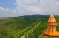 童话般的美景！澄城桥山天然氧吧
