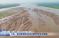 大荔：黄河湿地群鸟灵动 绿野茫茫生态和谐