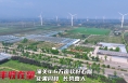 丰收在望！潼关县4.6万亩软籽石榴花果同枝 长势喜人