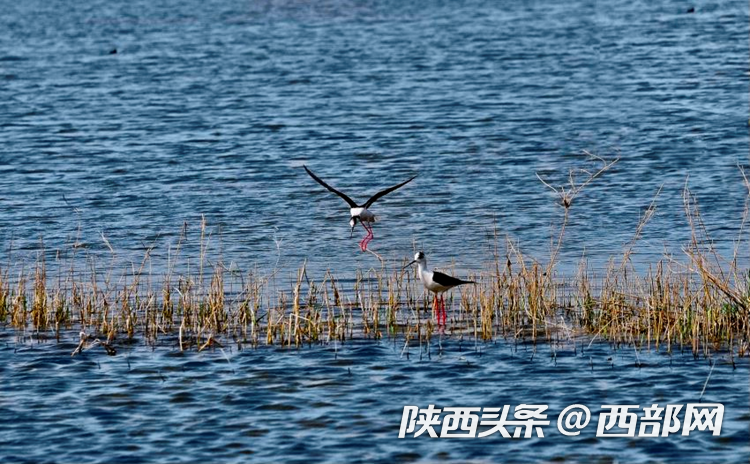 d742608c97b156d88b8359f4e80222ac.png