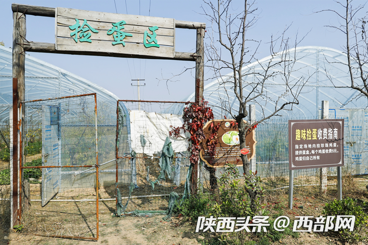 568acf6d3bf4a25b21271df3a8fed870.png