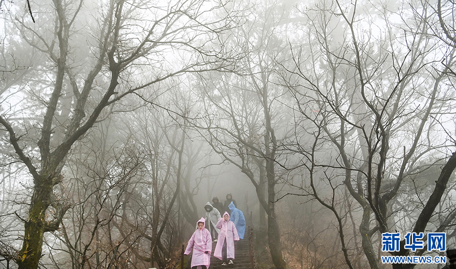 12月10日，游人在云雾中的华山五云峰步道攀登。