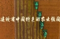微视频｜建设有中国特色的农业强国