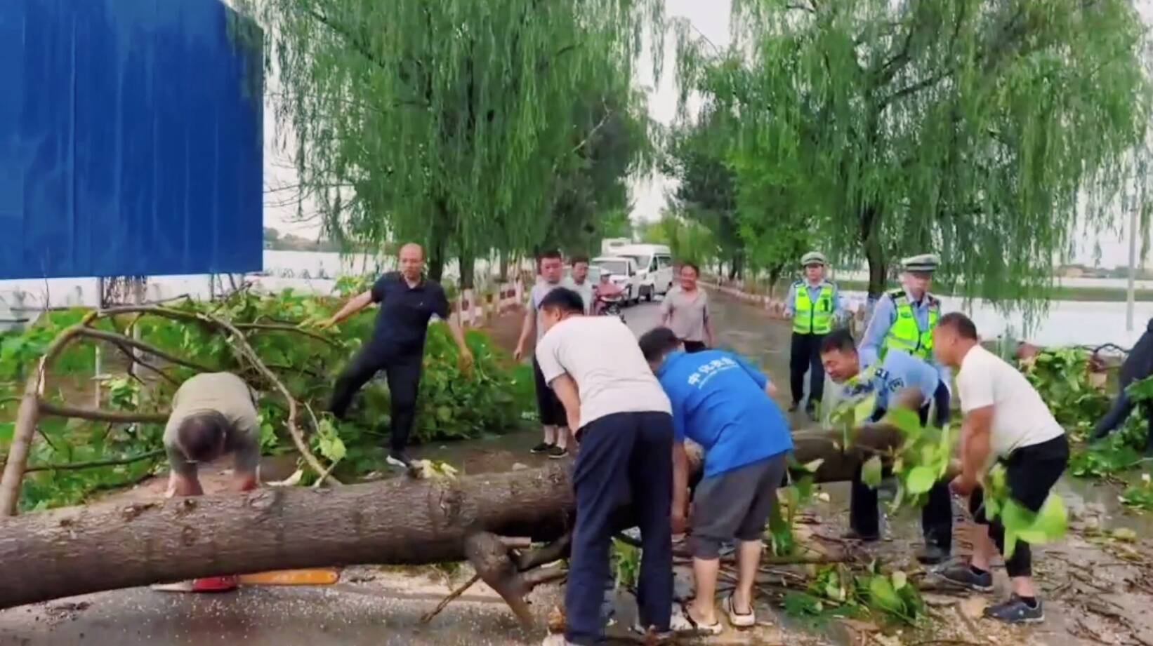 “人多力量大”！渭南：狂风吹倒大树 警民快速携手处置