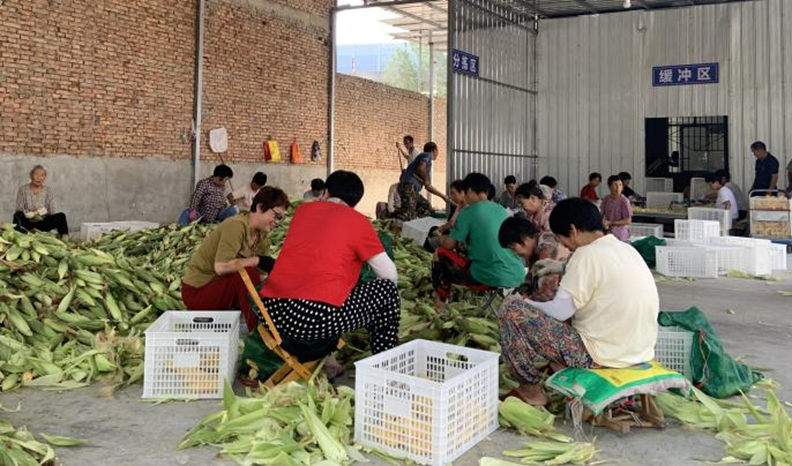 正在上傳... 3e619974bcf2bf53ab2b3a482b15f5de.png