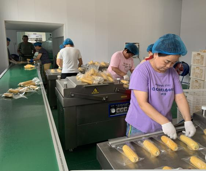 正在上傳... ee3676f941f6e3a215bcfd745d9b3892.png