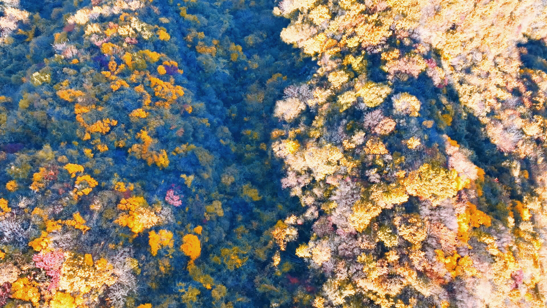 11月1日.jpg