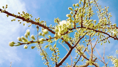 3月26日澄城[00_00_00--00_00_10].gif