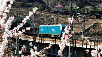 3月26日韩城[00_00_11--00_00_26].gif