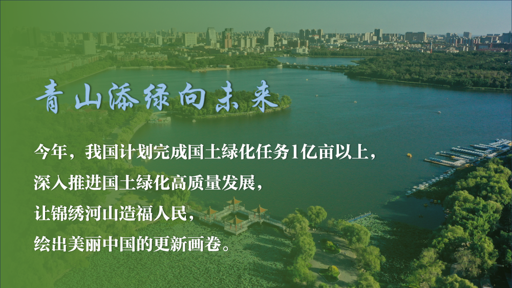 b0eb133ca2cfe89b43584339b2cb4100.png