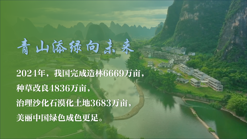 04f16b0d5003dcd238355979ec1812a6.png