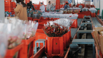 ae15c76160ff6ac28a5be7105a6635fc.gif