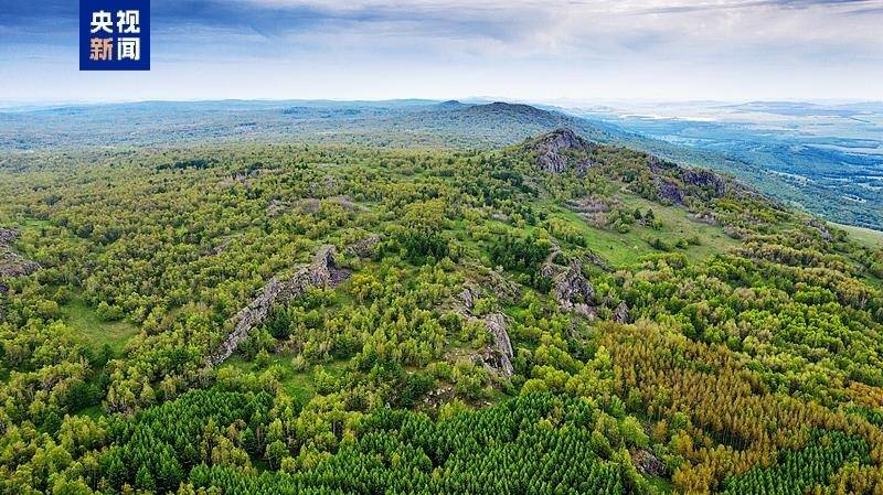 跟著習主席看世界丨在這“梨花開遍了天涯”的季節 去“三好”鄰邦家做客