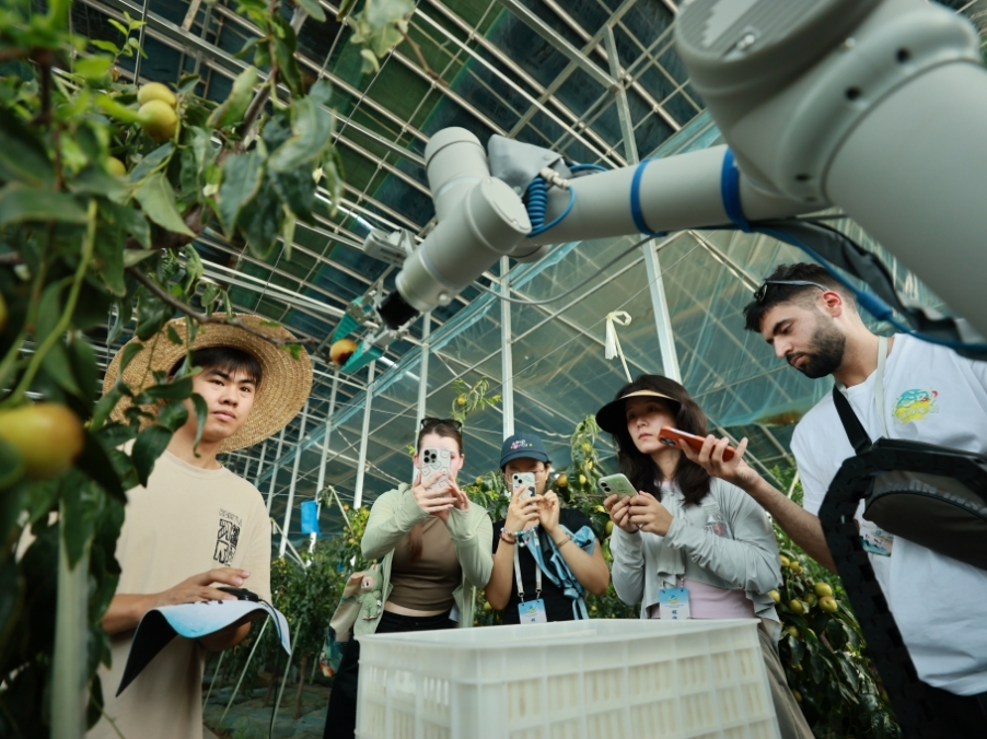 cms_20250814141635_77fd1b43a6f68823b754e0f7488378d422c33b5f.png 4.png