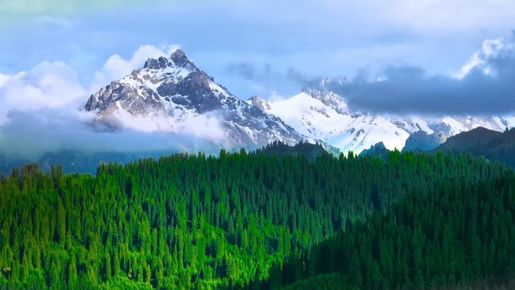 時政微視頻丨瞰新疆