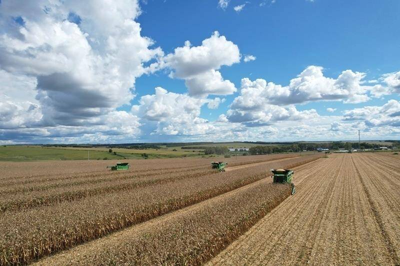 時政微觀察丨豐收時節感悟總書記的“三農”情懷