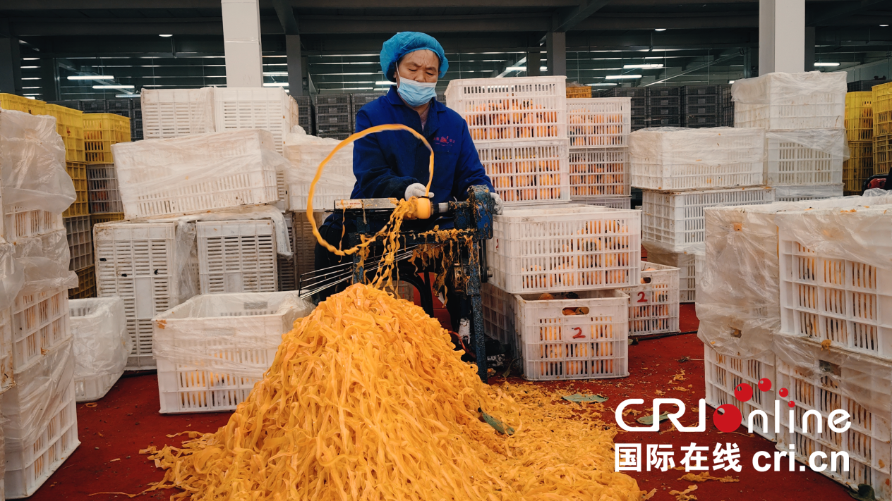 【至“陜”至美】渭南富平:紅柿映黃土 秋收正當時_fororder_圖片3