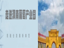 全省现代农业全产业链观摩走进渭南葡萄产业园 观融合发展新典范