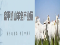 陕西省现代农业全产业链建设推进会现场观摩—富平站