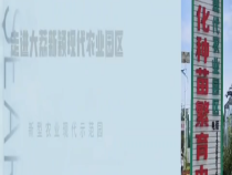 陕西省现代农业全产业链建设推进会现场观摩—大荔站