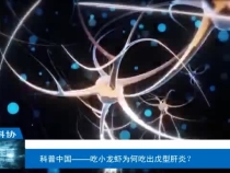 【渭南科普】科普中国——吃小龙虾为何吃出戊型肝炎？