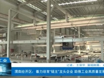 【渭南工信】渭南经开区：着力培育“链主”龙头企业 助推工业高质量发展