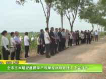 全市玉米增密度提单产观摩及秋粮管理工作会召开