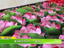 黄河岸边河灯节