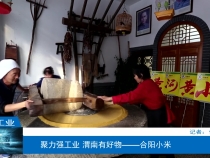 【渭南工信】聚力强工业 渭南有好物——合阳小米