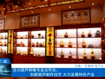 【渭南工信】洽川葫芦种植专业合作社：创新葫芦制作技艺 大力发展特色产业