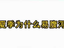 《健康临渭》夏季为什么易腹泻