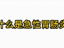 《健康临渭》什么是急性胃肠炎