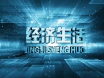 0804经济生活