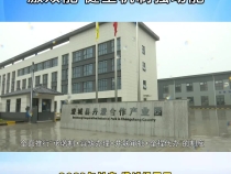 澄城经开区：立足“优服务”激效能 健全机制强动能