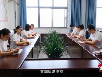 渭南市公证处党支部：强基固本筑堡垒 凝心聚力担使命