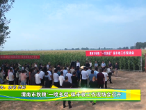 渭南市秋粮“一喷多促”保丰收工作现场会召开