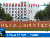 【渭南工信】聚力强工业 渭南有好物——陕富面业