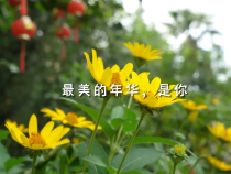 公益短视频｜最美的年华 享受最美的生活！