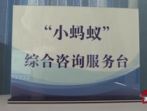 蒲城县公安局陈庄派出所：警营“小蚂蚁” 群众的“政策顾问”