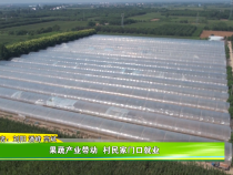 果蔬产业带动  村民家门口就业