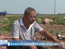 《渭南新闻》2023年9月3日