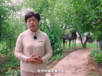 【渭南科普】科普中国——蜂蜜为什么如此珍贵？