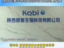 【聚焦科技金融融合发展 助力科技成果落地转化】陕西昆秦：以科技优势助力高质量发展