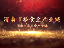 渭南市粮食全产业链
