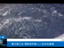 【渭南工信】聚力强工业 渭南有好物——白水杜康酒