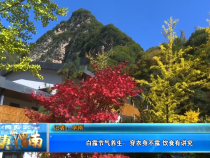 【健康渭南】白露节气养生：穿衣身不露 饮食有讲究